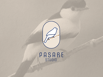 Pasare Studio - Logotype bird bird logo branding design icon illustration logo logotype typography vector