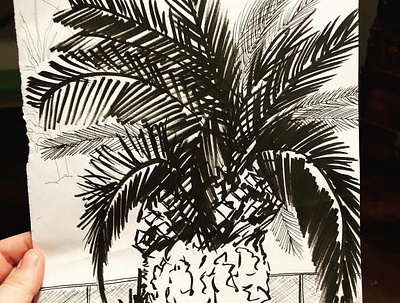 Palm Sketch freehand illustration sketch