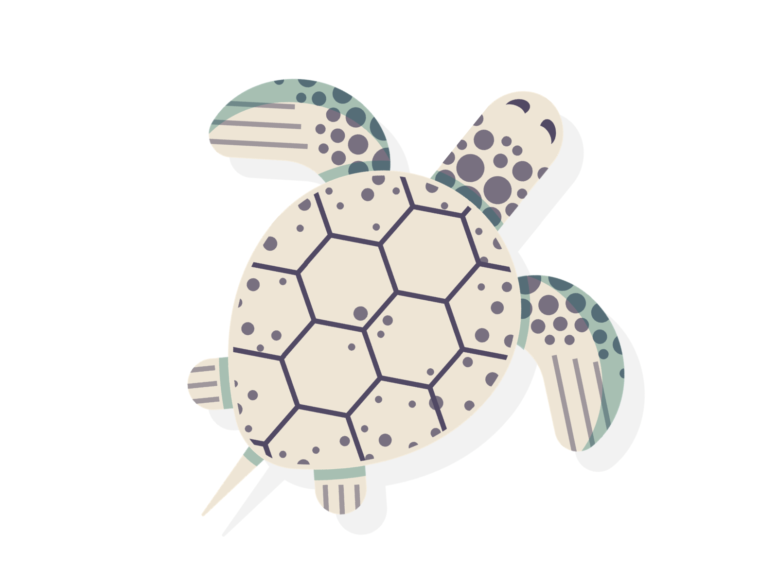 Tank the Turtle animation aquarium atlanta design digital georgia gif illustration minimal sea turtle simple turtle vector
