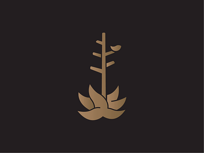 Century Plant Fidelity Study agave branding century design digital gold illustration line logo logomark marfa minimal photo photography plant simple texas tx vector yucca