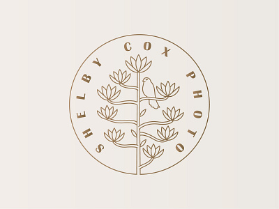 Shelby Cox Photography Logo agave branding century plant design digital hawk icon illustration kestrel lineart logo logomark marketing minimal monoline photography photoshop simple typography vector