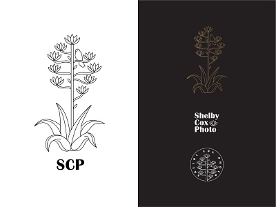 Shelby Cox Photography Logo Pack