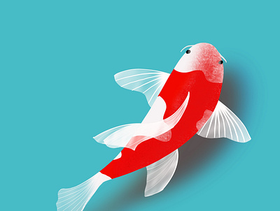Koi Fish app branding design graphic design illustration illustration fish koi fish logo typography ui ux vector