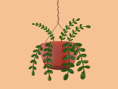 hanging ornamental plant