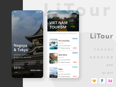 Travel Booking App UI Kit - LiTour