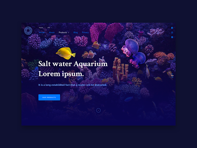 Reef Basics website corals designer digital fish marketing sea ui uidesigner underthesea water webdesign website