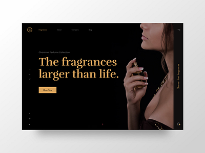 UI Daily - Perfume2 classic classy high end perfume perfumes premium uidesign uidesigner webdesign webdesigner website women