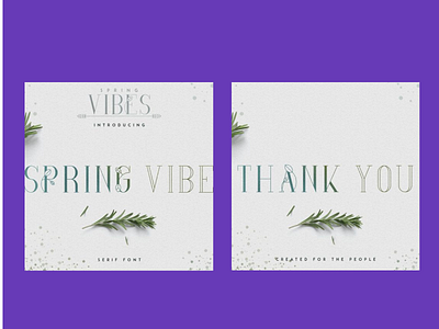 Spring Font with 30% OFF – SpringVibe Serif Font serif font spring font spring font springvibe springvibe serif font springvibe serif font