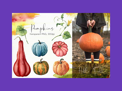 Watercolor Pumpkins Bundle pumpkins bundle pumpkins bundle watercolor watercolor pumpkins watercolor pumpkins watercolor pumpkins bundle watercolor pumpkins bundle