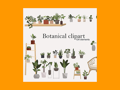 134 Botanical Clipart: Indoor Plants Clipart, Interior Clipart,