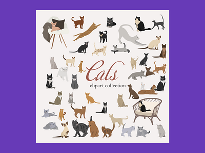 65 Cat Clipart Elements Digital PNG Vector