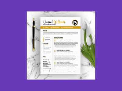 Professional resume/CV template - MasterBundles