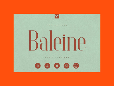 Baleine – Slab Serif Font