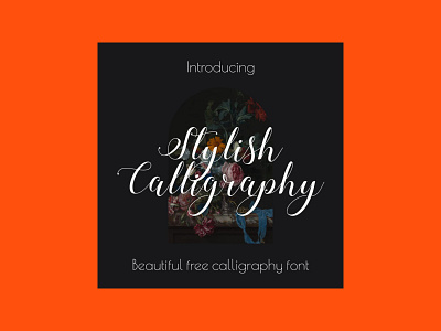 Beautiful Free Calligraphy Font