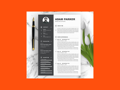 Marketing Officer Resume Template marketing resume template