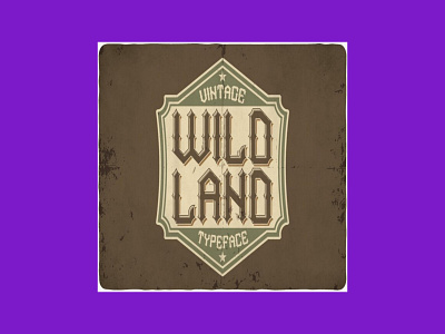 Wild Land Vintage Typeface typeface vintage wild land