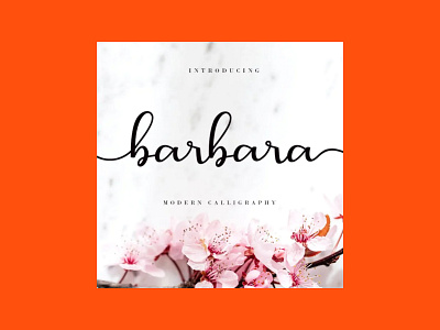 Barbara Calligraphy Script Font calligraphy font script