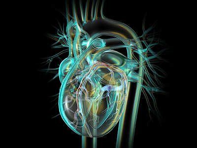 Craig Foster - 3D/CGI, Medical Illustrator educational medical illustrator photorealistic