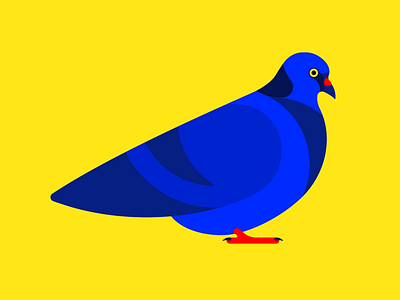 The Coo Neighbor animals blue bright city flat illustration neighbor pigeon red yellow