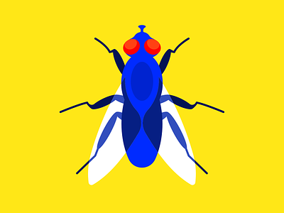 Buzz Off bugs design flat flies fly illustration yellow