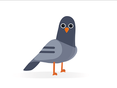 Midge the Pidge animal illustration pigeon