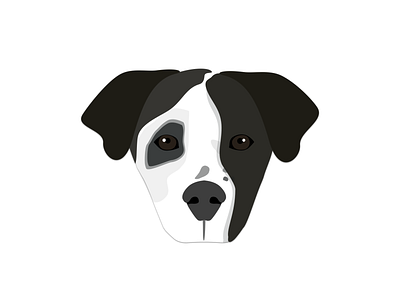 Cully! animal animal rescue custom design dog flat illustration non profit non profit pet rescue vector