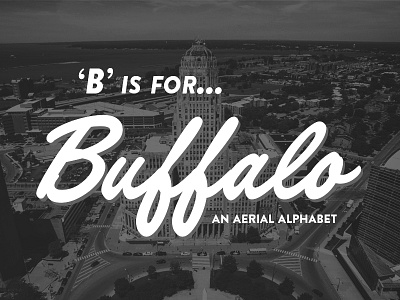 B is for...Buffalo aerial logo photography typography