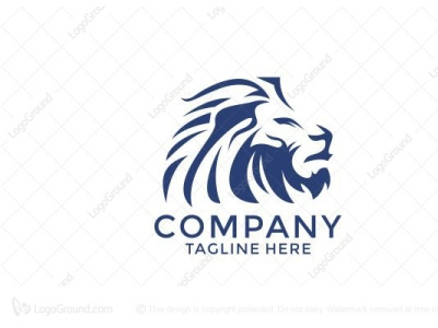 Stylish royal modern Lion Logo illustration lion lion head lion king lion logo logo logo template readymadelogo tiger