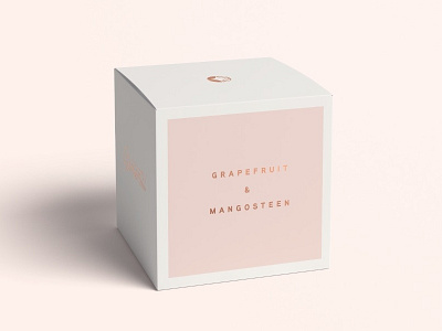 Grapefruit & Mangosteen branding clean design flat logo minimal type typography web