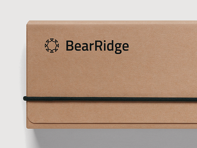 BearRidge Homes brand design icon identity logo