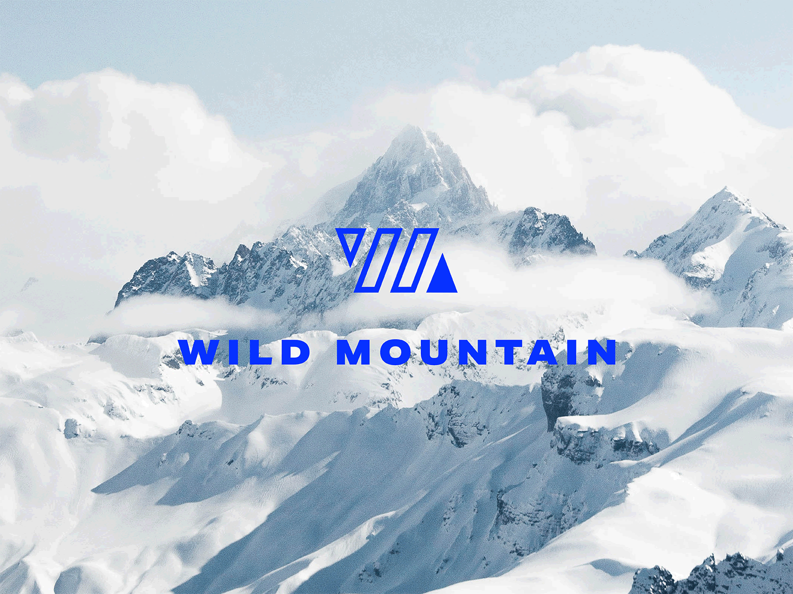 Wild Mountain branding design geometric icon illustration logo mountain