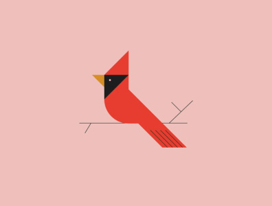 cardinal cardinal illustration