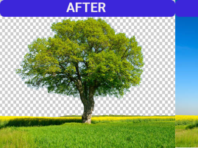 Background Remove background remove graphic design