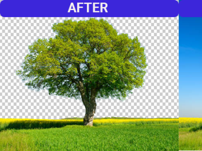 Background Remove