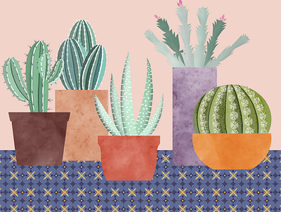 cactus plants botanical illustration illustration still life