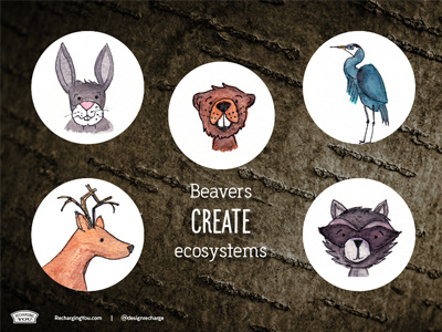 Beavers create Ecosystems, Designers create economic ecosystems beaver blue heron bunny deer ecosystem illustration raccoon watercolor