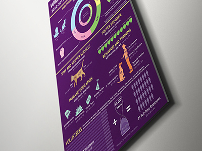 EOY 2013 Brings New Stats annual report humane society infographic pets