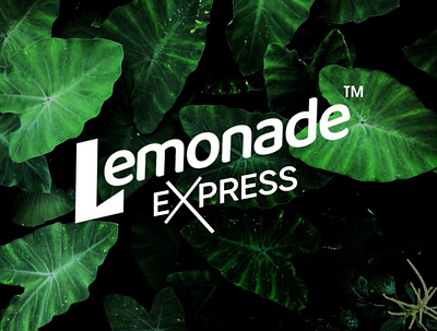 Lemonade Express Brand Identity Design branding design graphic design illustration logo typography vector