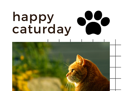 happy caturday 3d animation branding graphic design logo motion graphics ui