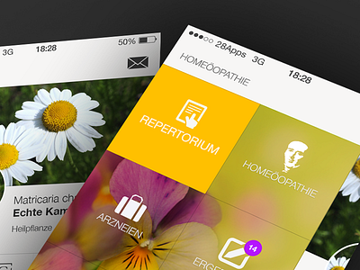 Repapp app ios ios 7 iphone mobile retina ui ux