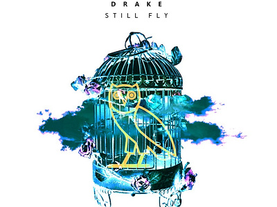 Still Fly🦅 - DRAKE x OVO artwork cover art drake photoshop