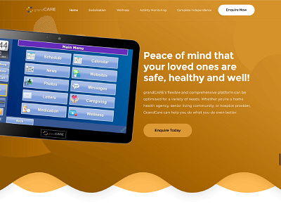 grandCARE Website design developer web web design web developer website