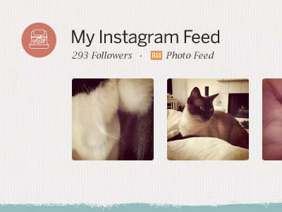 Instagram Feed button icon image red texture