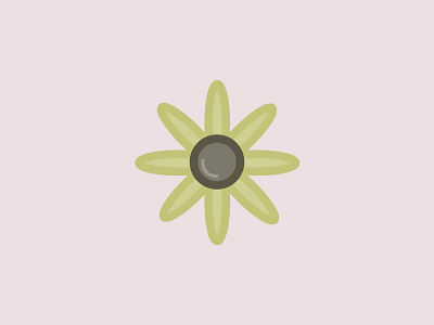 Daisy botanical flat flower icons illustration illustrator minimal nyc vector art