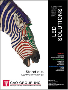 Zebra ad print