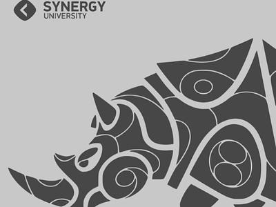 Paid Ads for Synergy University