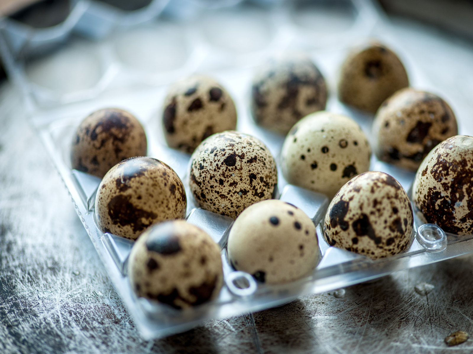 what-is-the-best-way-to-cook-quail-eggs-by-dasoon-on-dribbble