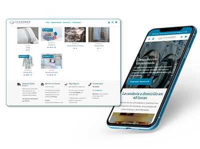 Laundry Service Web Development booking branding design digital services laundry service services ui ux web