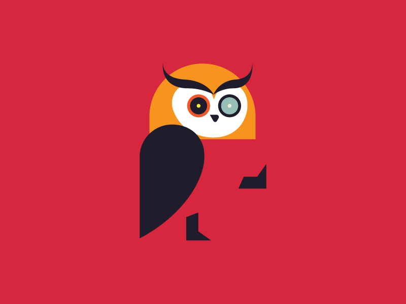 A logo design for creative platform bird animal logo colorful owl