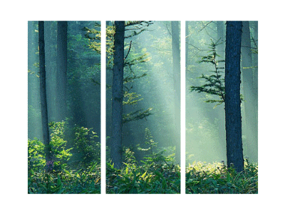 Make it Pop 3d animation forest gif green